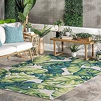 Algopix Similar Product 12 - nuLOOM Lisa Floral IndoorOutdoor Area