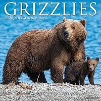 Algopix Similar Product 9 - Grizzlies 2025 12" x 12" Wall Calendar