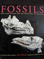 Algopix Similar Product 9 - Fossils The Evolution and Extinction