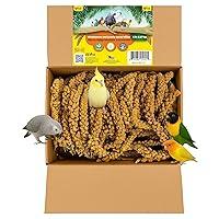 Algopix Similar Product 5 - Birds LOVE Wholesome  Lovely Spray