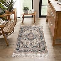 Algopix Similar Product 10 - Jessica Simpson Chenille Fringe Rug 