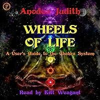 Algopix Similar Product 18 - Wheels of Life A Users Guide to the