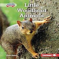 Algopix Similar Product 14 - Little Woodland Animals