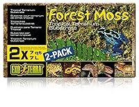 Algopix Similar Product 15 - Exo Terra Forest Plume Moss 7 Quarts