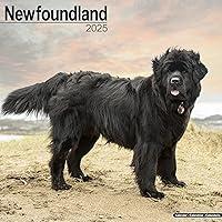 Algopix Similar Product 14 - Newfoundland Calendar 2025  Square Dog