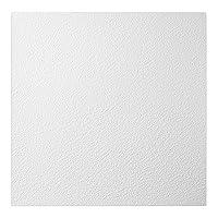 Algopix Similar Product 15 - Genesis 2ft x 2ft White Stucco Pro