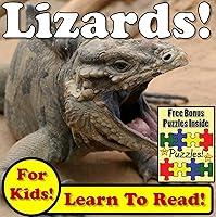 Algopix Similar Product 12 - Lizards Learn About Lizards While