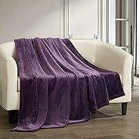 Algopix Similar Product 1 - Chic Home Gaten Throw Blanket Cozy