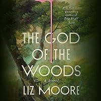 Algopix Similar Product 3 - The God of the Woods: A Novel