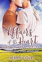 Algopix Similar Product 11 - Affairs of the Heart Gay Love Stories