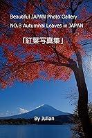 Algopix Similar Product 5 - Beautiful JAPAN Photo Gallery Autumnal