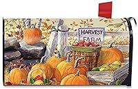 Algopix Similar Product 3 - Briarwood Lane Harvest Farm Fall