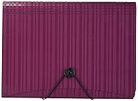 Algopix Similar Product 15 - Esselte 7 Pocket Letter Poly Expanding