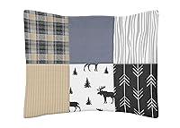 Algopix Similar Product 16 - Sweet Jojo Designs Blue Tan Grey and