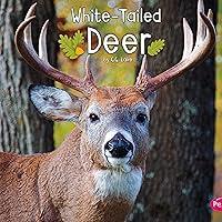 Algopix Similar Product 15 - White-Tailed Deer