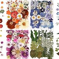 Algopix Similar Product 17 - nisetten 110PCS Pressed Flowers for