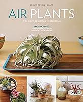 Algopix Similar Product 1 - Air Plants The Curious World of