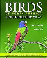 Algopix Similar Product 2 - Birds of North America A Photographic