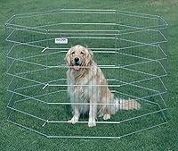 Algopix Similar Product 13 - Precision Pet Products Pro Handler