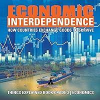 Algopix Similar Product 18 - Economic Interdependence How Countries