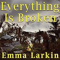 Algopix Similar Product 12 - Everything Is Broken A Tale of