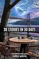 Algopix Similar Product 4 - 30 Stories in 30 Days A NaNoWriMo