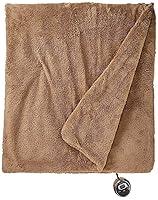 Algopix Similar Product 15 - Sunbeam Loftec Heated Blanket Full