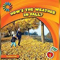 Algopix Similar Product 8 - Hows the Weather in Fall 21st