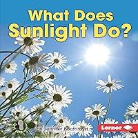 Algopix Similar Product 7 - What Does Sunlight Do?