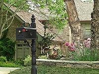Algopix Similar Product 4 - The Williamsburg Cast Aluminum Mailbox
