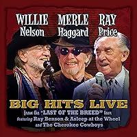 Algopix Similar Product 4 - Willie Merle  Ray Big Hits Live from