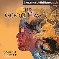 Algopix Similar Product 3 - The Good Hawk: Shadow Skye, Book 1