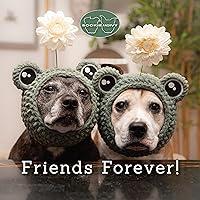 Algopix Similar Product 13 - Sookie and Ivy Friends Forever Fox