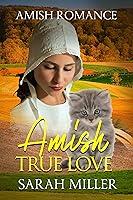 Algopix Similar Product 3 - Amish True Love Amish Short Romance