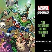 Algopix Similar Product 1 - SpiderMan The Gathering of the