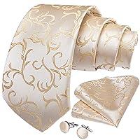 Algopix Similar Product 14 - DiBanGu Mens Paisley Tie and Necktie