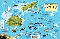 Algopix Similar Product 7 - Fiji Map  Reef Creatures Guide Franko