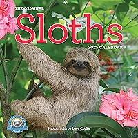 Algopix Similar Product 16 - Original Sloths Wall Calendar 2025 The