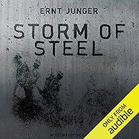 Algopix Similar Product 19 - Storm of Steel