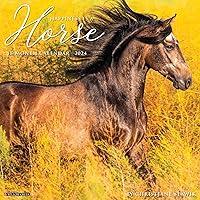 Algopix Similar Product 1 - Happiness is a Horse 2024 12 x 12