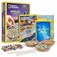 Algopix Similar Product 20 - NATIONAL GEOGRAPHIC Mosaic Arts and