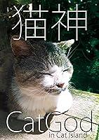 Algopix Similar Product 7 - Cat God  Photo Collection   Cats I