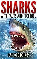 Algopix Similar Product 9 - Sharks with Facts and Pictures