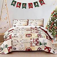 Algopix Similar Product 8 - DJY Christmas Quilt Set Queen Size