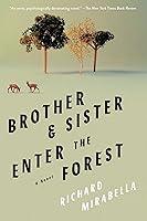 Algopix Similar Product 13 - Brother  Sister Enter the Forest A