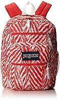 Algopix Similar Product 13 - JanSport Big Student Coral Peaches Wild