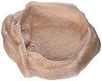 Algopix Similar Product 18 - Zoo Med Reptile Rock Water Dish, Small