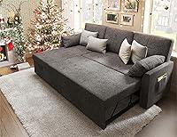 Algopix Similar Product 7 - VanAcc Sleeper Sofa Sofa Bed 2 in 1