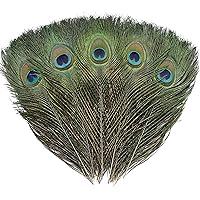 Algopix Similar Product 6 - 24 PCS Real Natural Peacock Eye