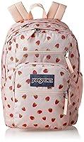 Algopix Similar Product 9 - JANSPORT Big Student